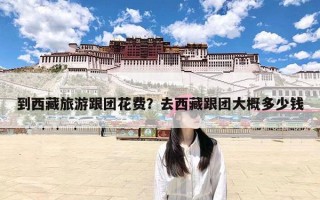到西藏旅游跟团花费？去西藏跟团大概多少钱