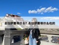 去拉萨要带什么？去拉萨要带什么吃的