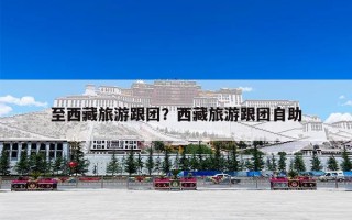至西藏旅游跟团？西藏旅游跟团自助