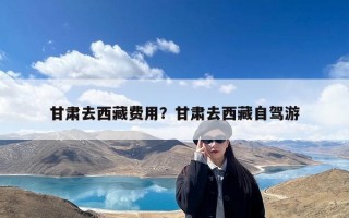 甘肃去西藏费用？甘肃去西藏自驾游