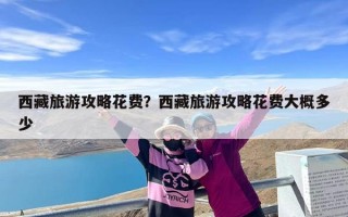 西藏旅游攻略花费？西藏旅游攻略花费大概多少