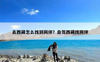 去西藏怎么找到同伴？自驾西藏找同伴
