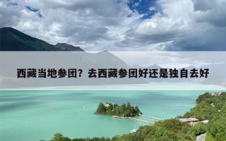西藏当地参团？去西藏参团好还是独自去好