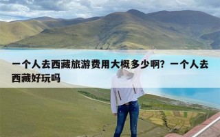 一个人去西藏旅游费用大概多少啊？一个人去西藏好玩吗