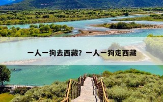 一人一狗去西藏？一人一狗走西藏