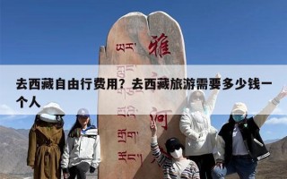 去西藏自由行费用？去西藏旅游需要多少钱一个人