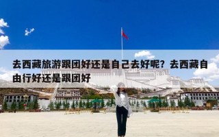 去西藏旅游跟团好还是自己去好呢？去西藏自由行好还是跟团好