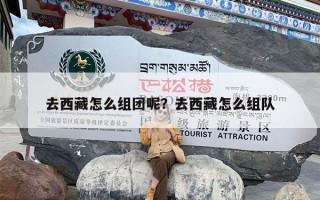 去西藏怎么组团呢？去西藏怎么组队