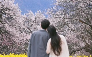 和老公去西藏旅游五天多少钱？3月和老公去西藏旅游5天费用多少？