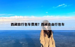 西藏旅行包车费用？西藏自由行包车