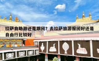 拉萨自助游还是跟团？去拉萨旅游报团好还是自由行比较好