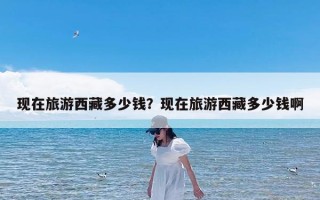 现在旅游西藏多少钱？现在旅游西藏多少钱啊