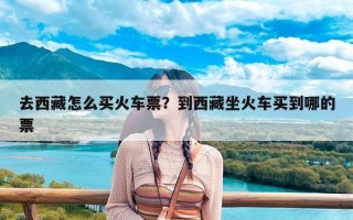 去西藏怎么买火车票？到西藏坐火车买到哪的票