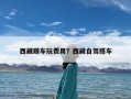 西藏跟车玩费用？西藏自驾搭车