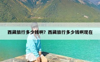 西藏旅行多少钱啊？西藏旅行多少钱啊现在