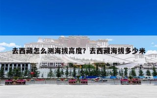 去西藏怎么测海拔高度？去西藏海拔多少米