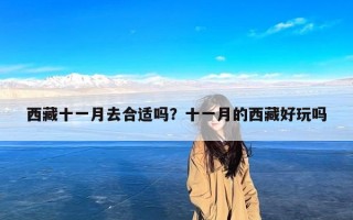西藏十一月去合适吗？十一月的西藏好玩吗