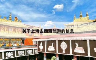 关于上海去西藏旅游的信息