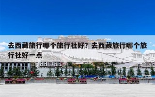 去西藏旅行哪个旅行社好？去西藏旅行哪个旅行社好一点