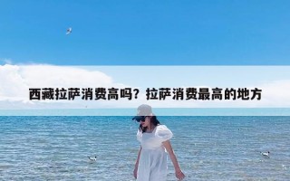 西藏拉萨消费高吗？拉萨消费最高的地方