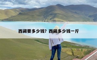 西藏要多少钱？西藏多少钱一斤