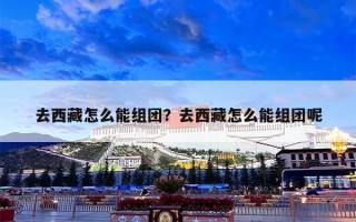 去西藏怎么能组团？去西藏怎么能组团呢