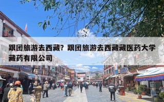 跟团旅游去西藏？跟团旅游去西藏藏医药大学藏药有限公司