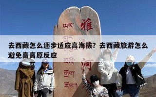 去西藏怎么逐步适应高海拔？去西藏旅游怎么避免高高原反应