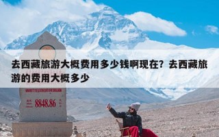 去西藏旅游大概费用多少钱啊现在？去西藏旅游的费用大概多少