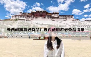 去西藏旅游必备品？去西藏旅游必备品清单