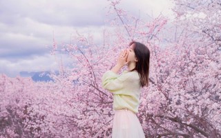 4月初去西藏五日游路线怎么安排？四月初去西藏五日游路线如何规划？