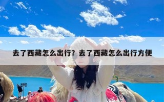 去了西藏怎么出行？去了西藏怎么出行方便