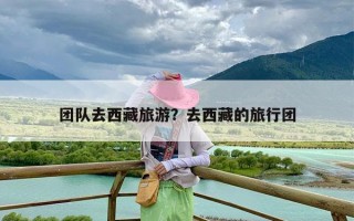 团队去西藏旅游？去西藏的旅行团