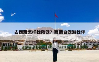 去西藏怎样找陪驾？西藏自驾游找伴