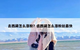 去西藏怎么涨粉？去西藏怎么涨粉丝最快