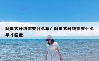 阿里大环线需要什么车？阿里大环线需要什么车才能进