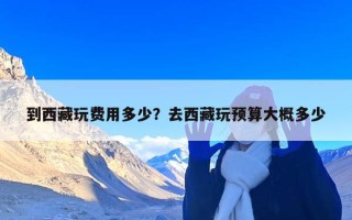 到西藏玩费用多少？去西藏玩预算大概多少