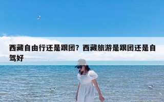 西藏自由行还是跟团？西藏旅游是跟团还是自驾好