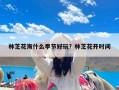 林芝花海什么季节好玩？林芝花开时间