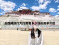 去西藏旅行大约需要多少钱的简单介绍
