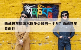 西藏包车旅游大概多少钱啊一个月？西藏包车自由行