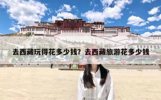 去西藏玩得花多少钱？去西藏旅游花多少钱