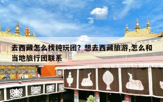 去西藏怎么找纯玩团？想去西藏旅游,怎么和当地旅行团联系