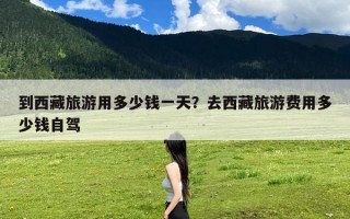 到西藏旅游用多少钱一天？去西藏旅游费用多少钱自驾