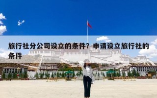 旅行社分公司设立的条件？申请设立旅行社的条件