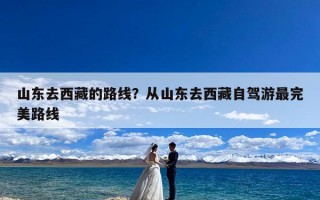 山东去西藏的路线？从山东去西藏自驾游最完美路线