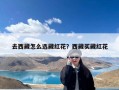 去西藏怎么选藏红花？西藏买藏红花