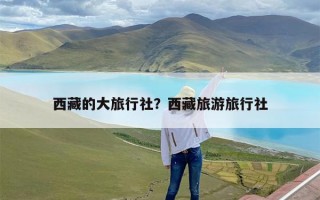 西藏的大旅行社？西藏旅游旅行社
