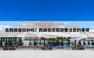 去西藏报团好吗？西藏报团旅游要注意的事项