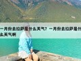 一月份去拉萨是什么天气？一月份去拉萨是什么天气啊